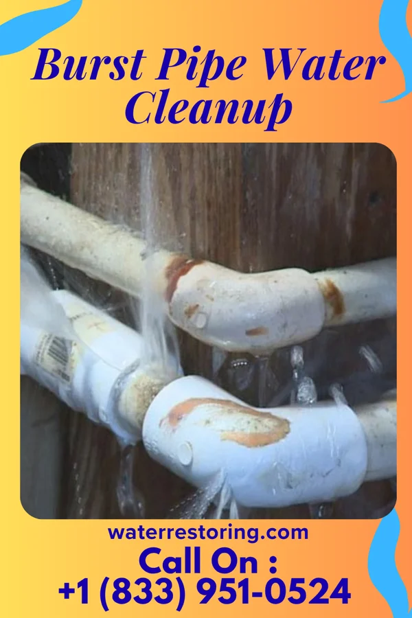 Burst Pipe Water Cleanup in Hutchinson, KS