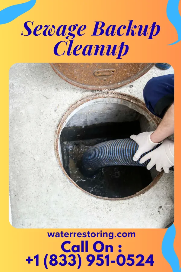 Sewage Backup Cleanup in Hutchinson, KS