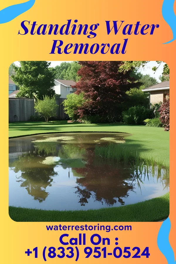 Standing Water Removal in Hutchinson, KS